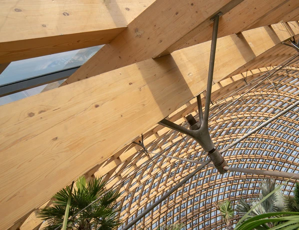 Curved wooden beams form a lattice roof with metal braces in an indoor glass atrium containing tropical plants.