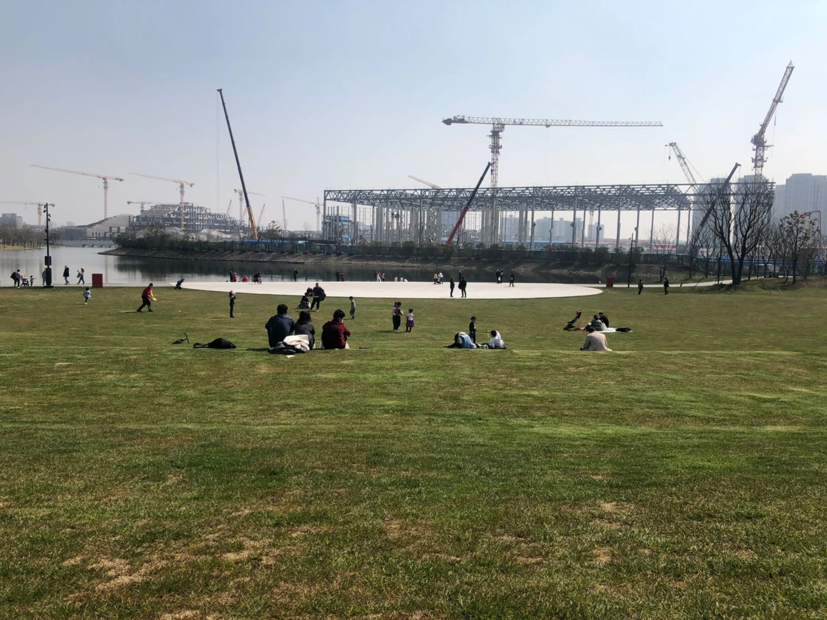 People picnicking on a grassy park by a lake, with a distant construction site and cranes in the background.
