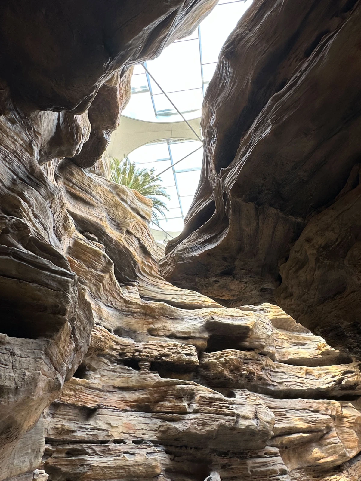 Indoor rocky canyon with layered walls and a glass skylight; a palm tree visible.