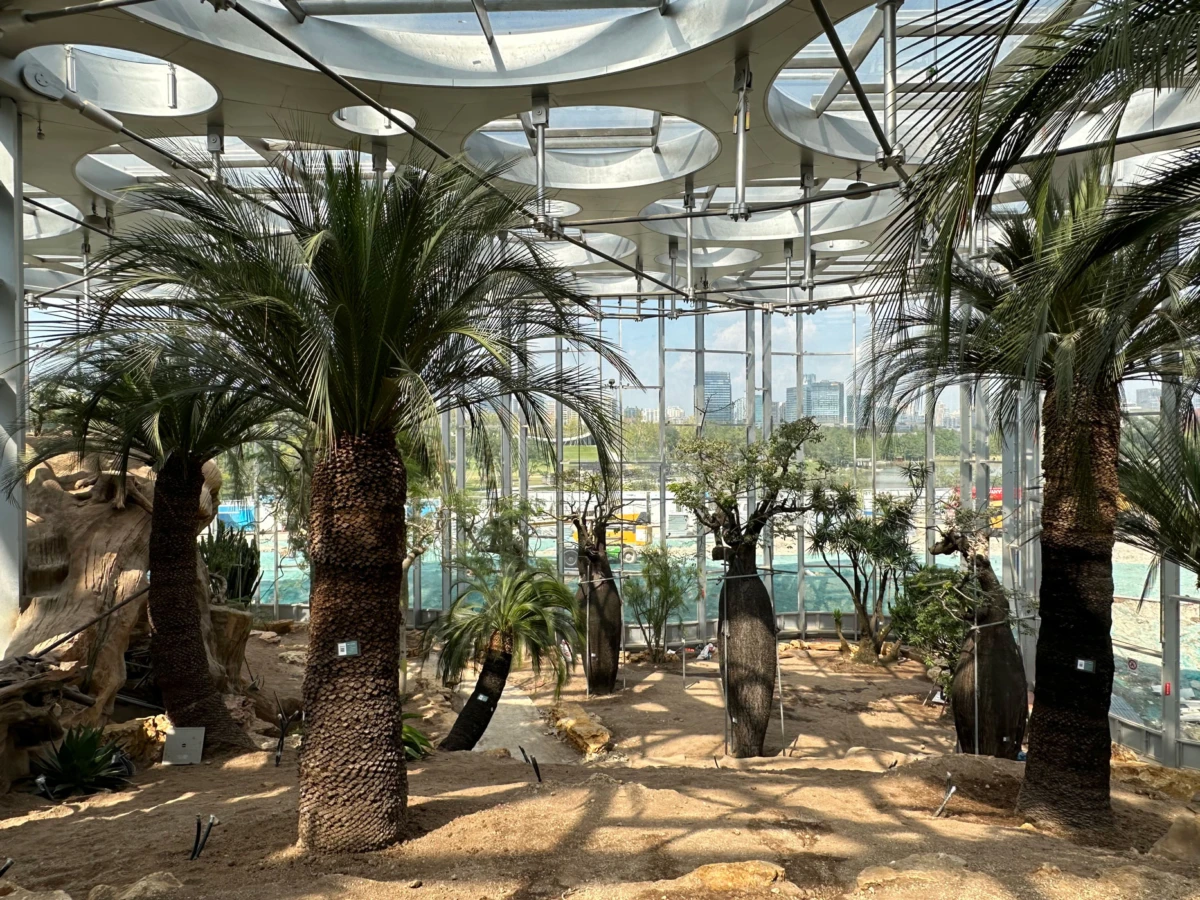 Palm trees inside a glass-walled conservatory with sandy soil and indoor greenery; city skyline visible through the glass.