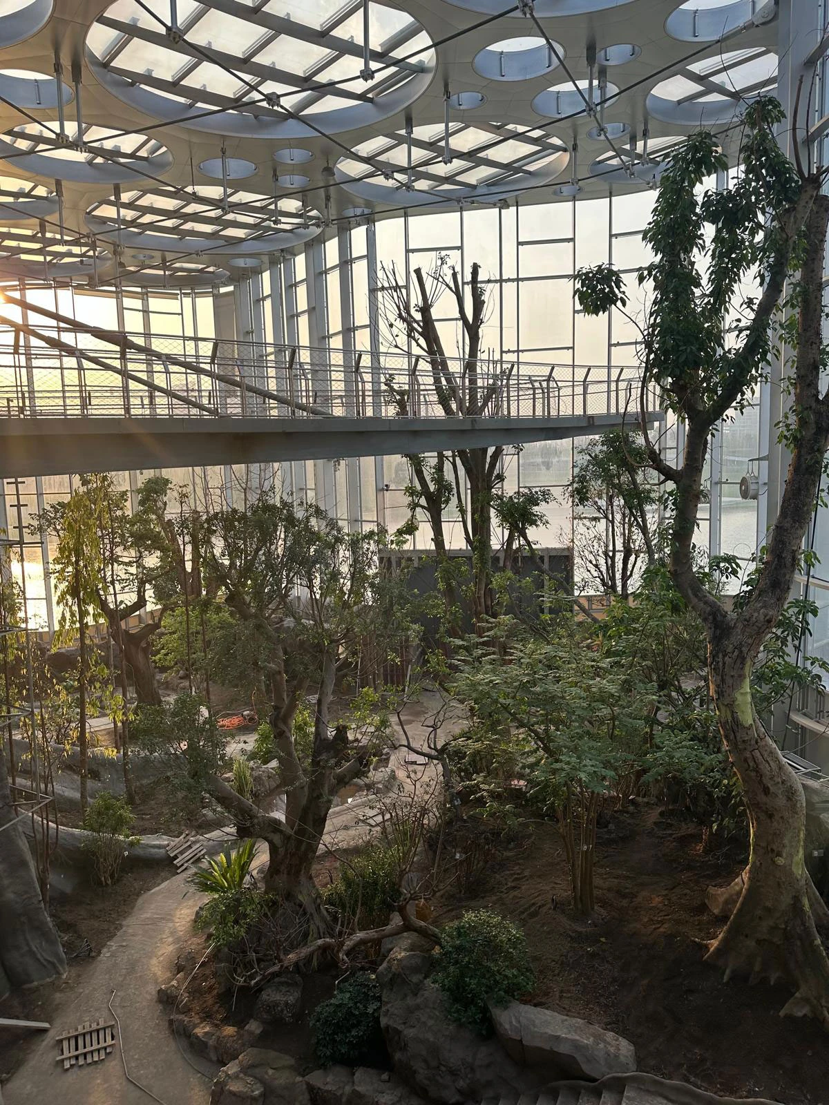 Indoor botanical garden atrium with trees and shrubs, stone path, and rocky planting beds beneath glass ceiling and elevated walkway.