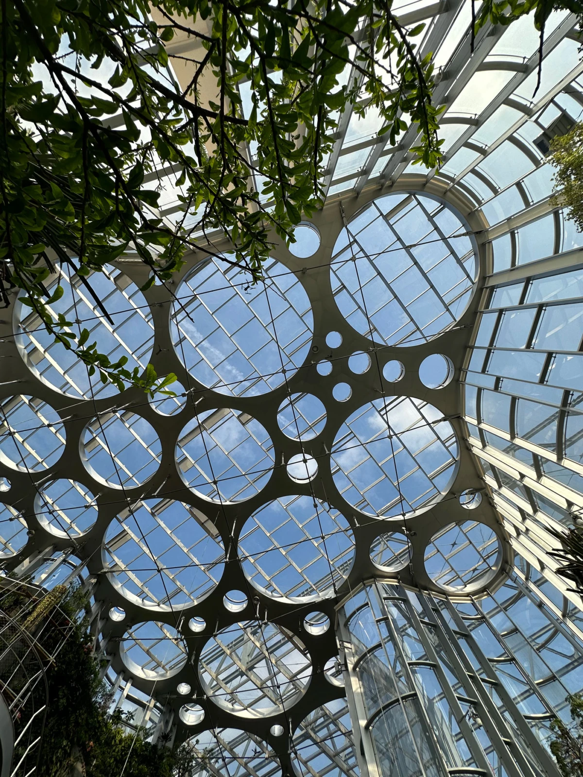 Interior atrium ceiling: glass skylight with a circular-cutout metal lattice, surrounded by greenery.