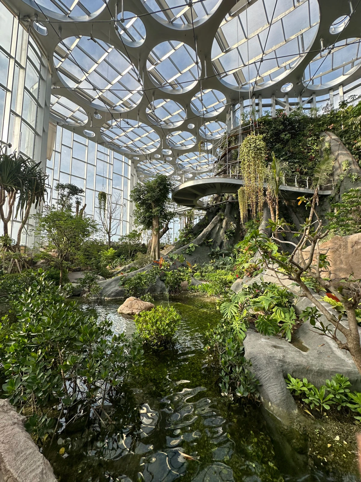 Indoor botanical garden showcasing a calm pond among rocks and tropical plants under a circular glass lattice dome.