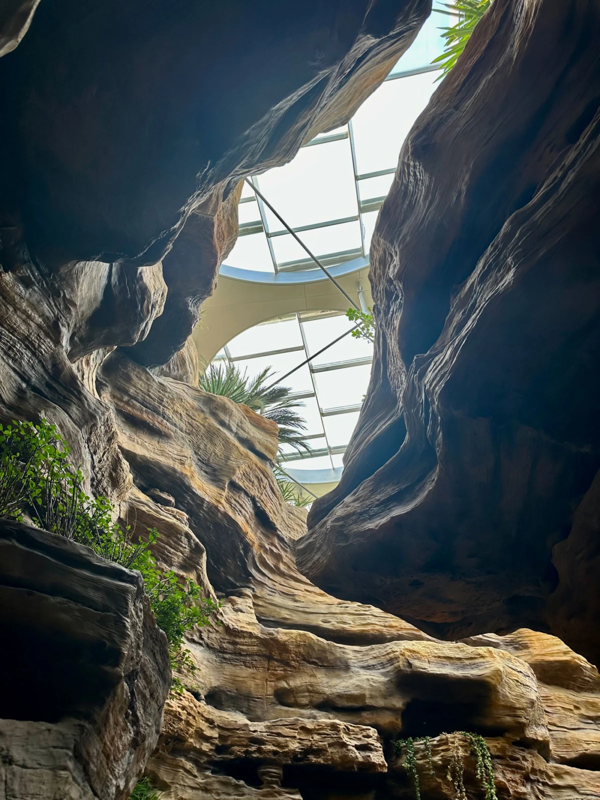 Indoor rock canyon with a glass skylight overhead and sparse greenery along rugged stone walls.
