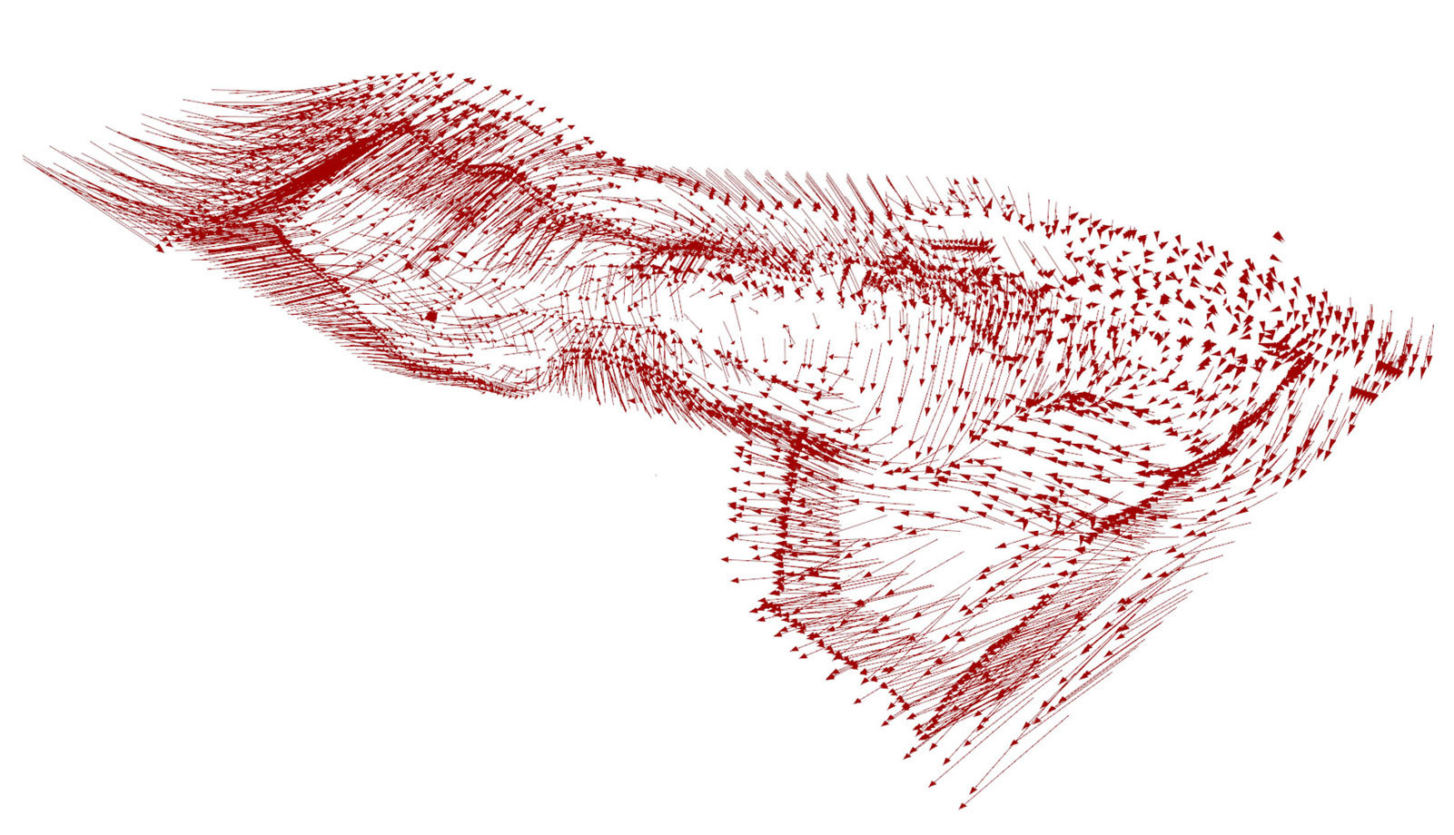 Red arrow-field forming flowing fabric-like ribbons across a white background.