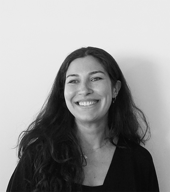 DMAA P Andreea Birzu 1a