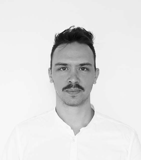 DMAA P Sekulic Dusan