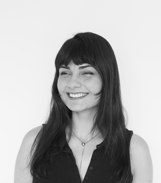 DMAA P Evrim Sacmali