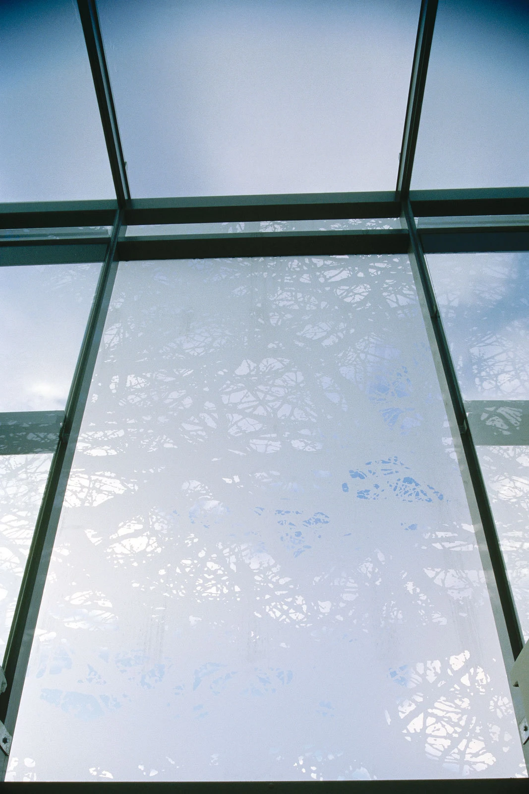 Interior view of a glass skylight grid with green metal framing; blue sky visible through the panes.