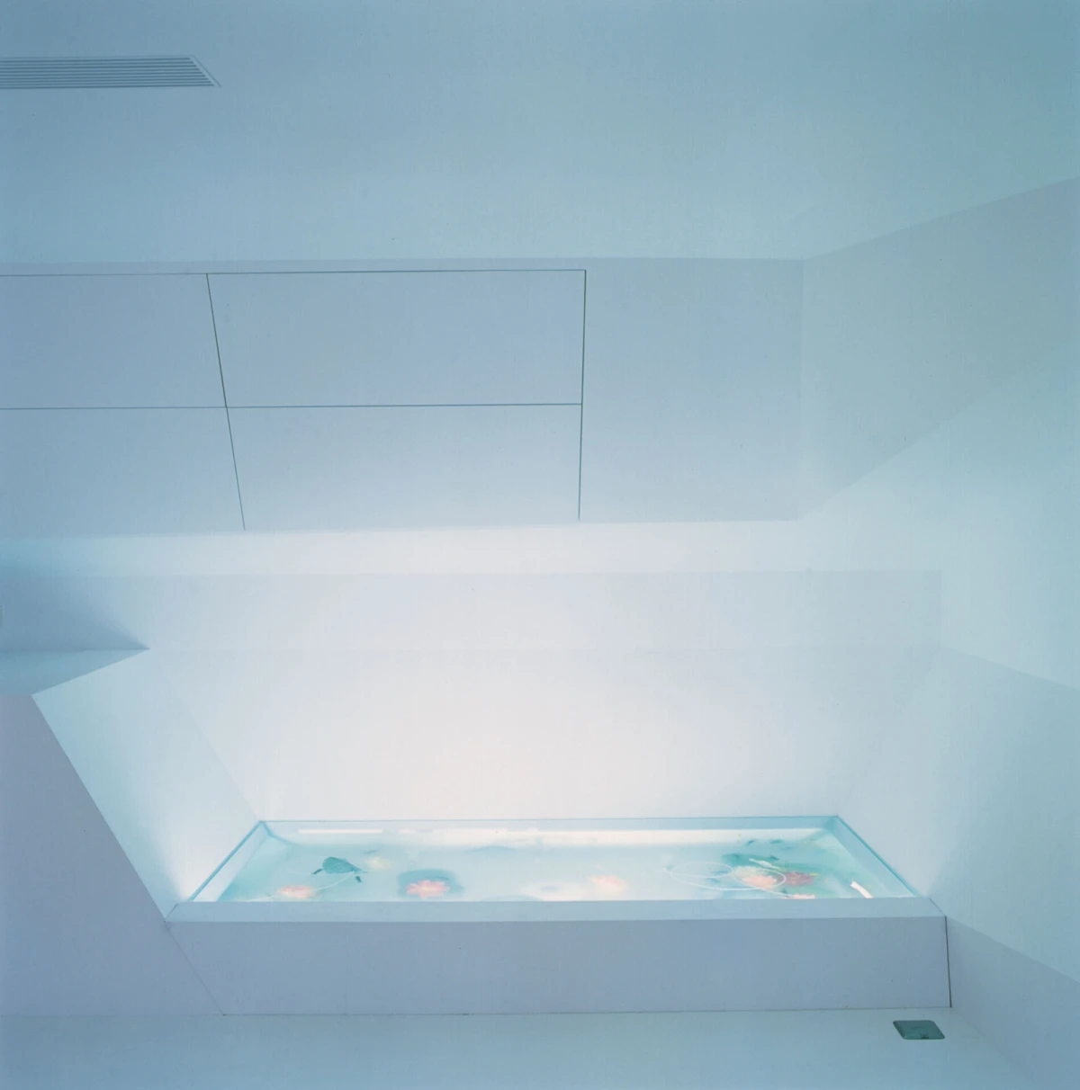 Rectangular glass aquarium on a white pedestal in a pale blue minimalist room; water with decorative flowers visible inside.