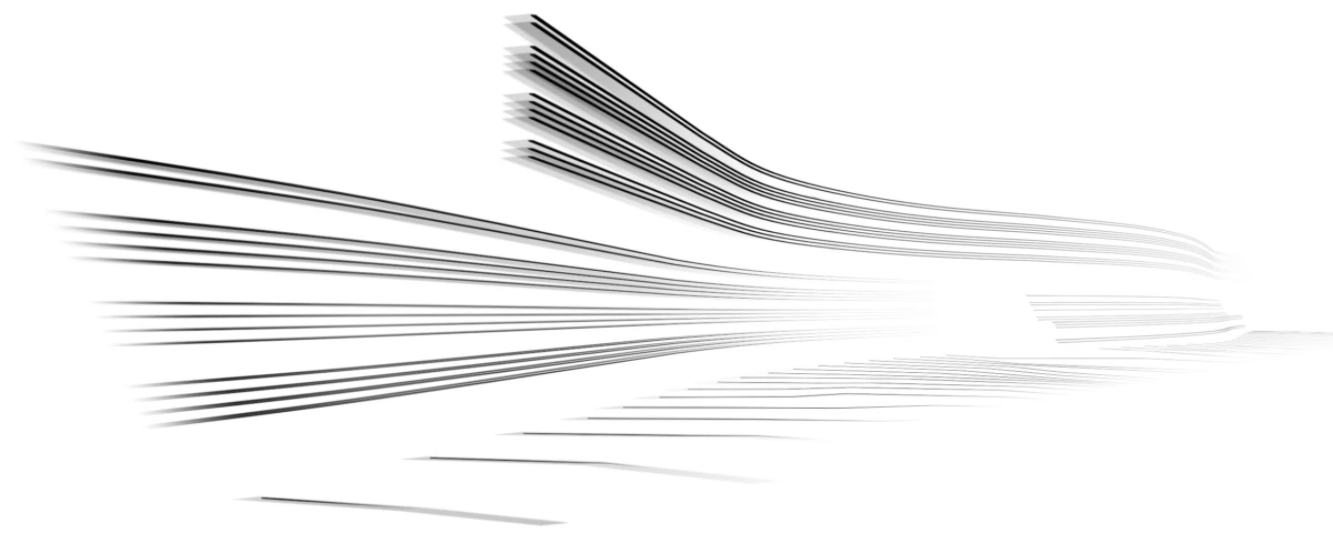 Abstract composition of black curved lines forming sweeping wave patterns over a white background.
