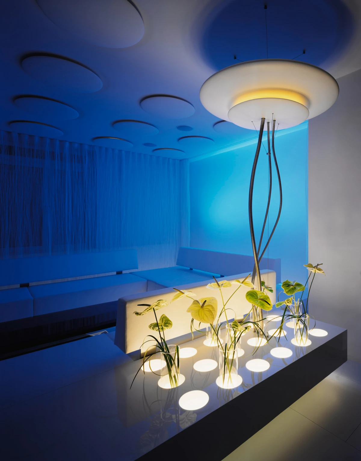 Unoccupied futuristic blue lounge interior with circular ceiling discs, a pendant lamp, bench seating, and an illuminated planter with tall plants.