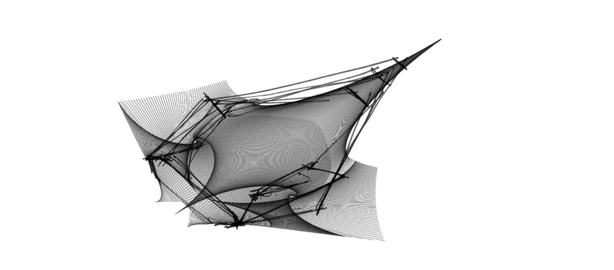 Static abstract geometric wireframe of interwoven black curves on white background.