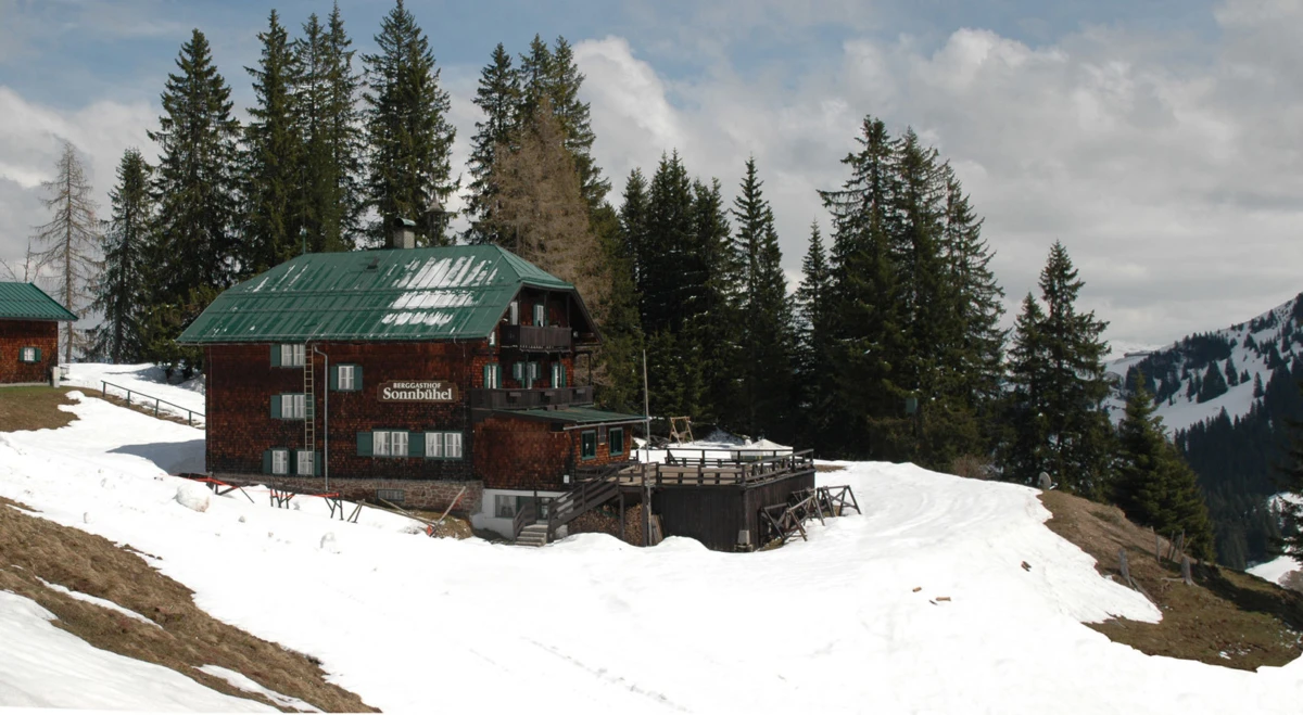 Wooden alpine lodge with green roof on a snow-covered slope, surrounded by evergreen forest.
