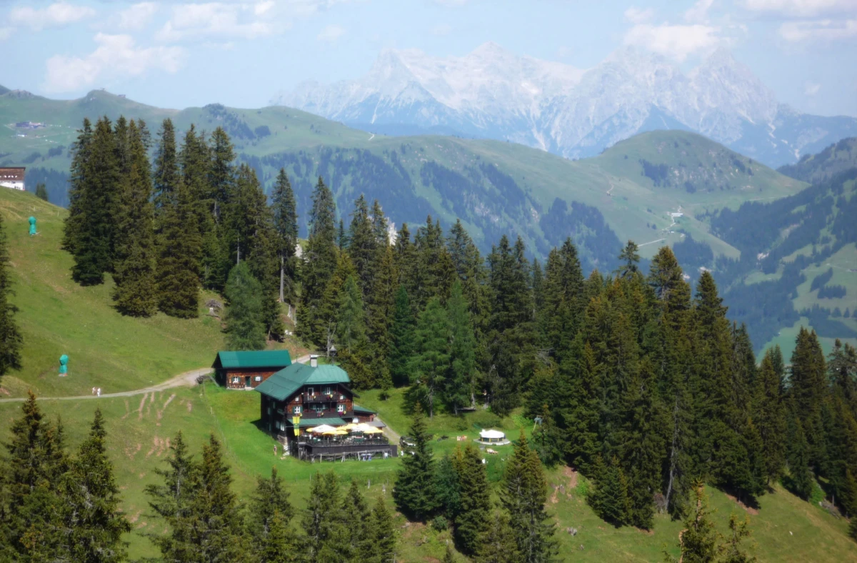 Alpine hillside chalet with outdoor terrace and yellow umbrellas, amid evergreen trees and green meadows with distant snow-capped peaks.