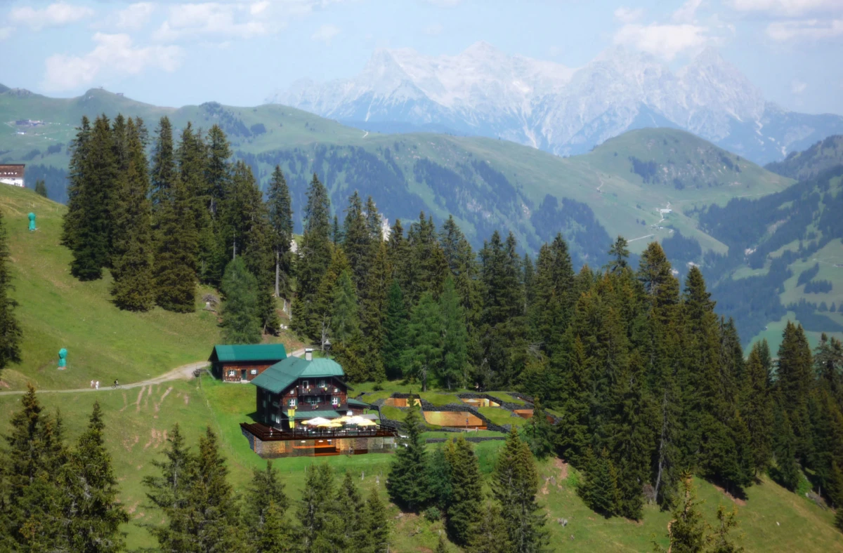 Alpine lodge on a grassy hillside surrounded by evergreen trees, with distant snow-capped mountains.