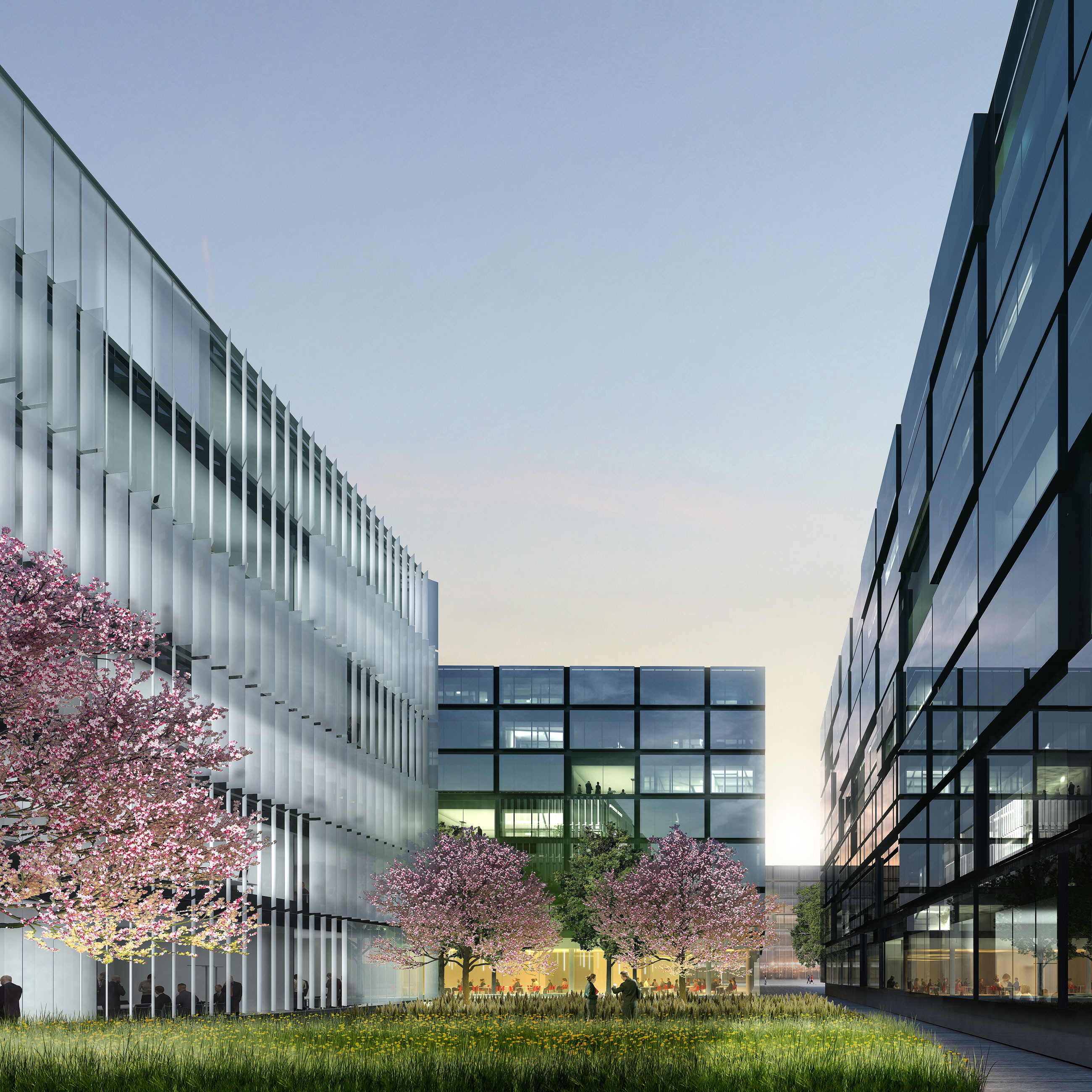 Glass-fronted office buildings enclose a grassy courtyard with blooming cherry trees; people walk along the path.