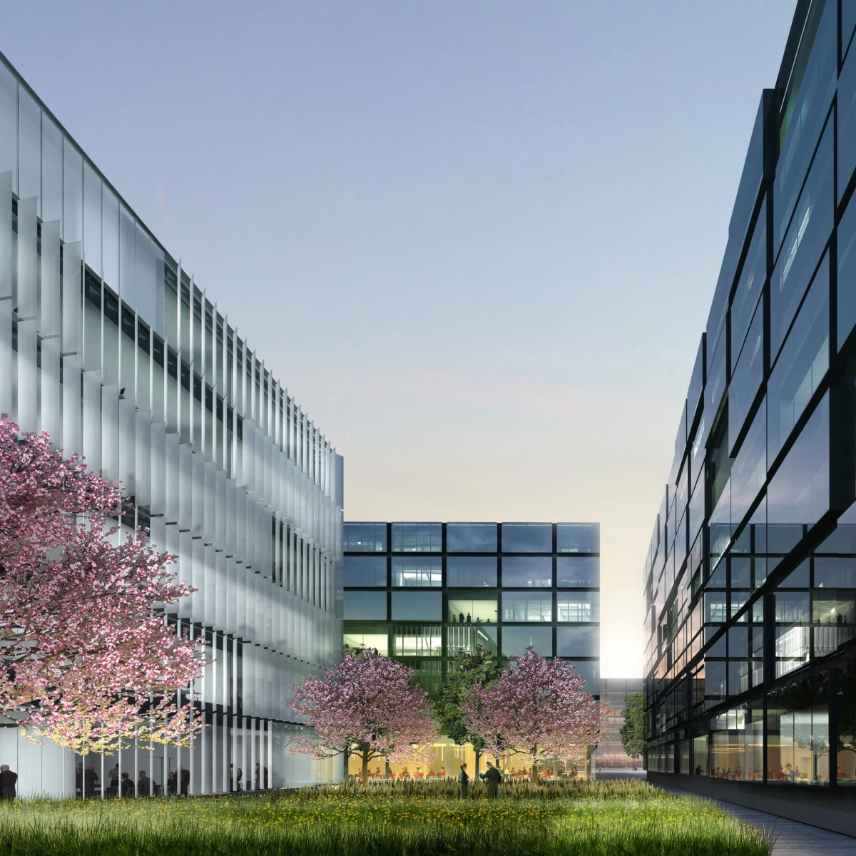 Glass-fronted office buildings enclose a grassy courtyard with blooming cherry trees; people walk along the path.