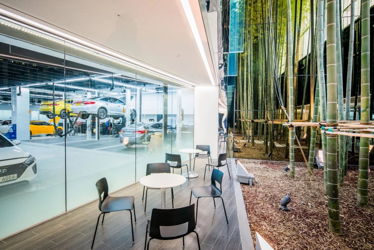 Modern car showroom with glass wall; cars on lifts inside and a bamboo courtyard with round tables and chairs along the glass.