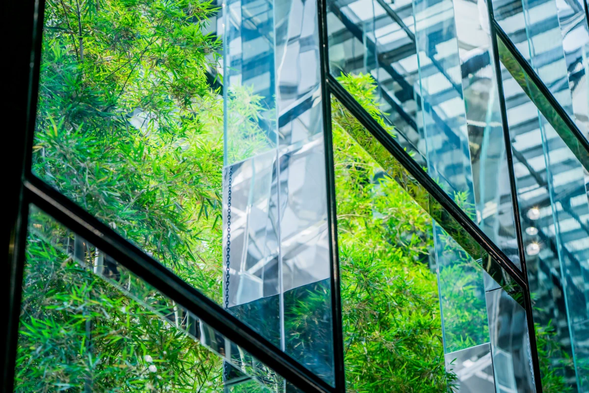 Geometric glass facade with green bamboo plants visible through angled panels and metal frames.
