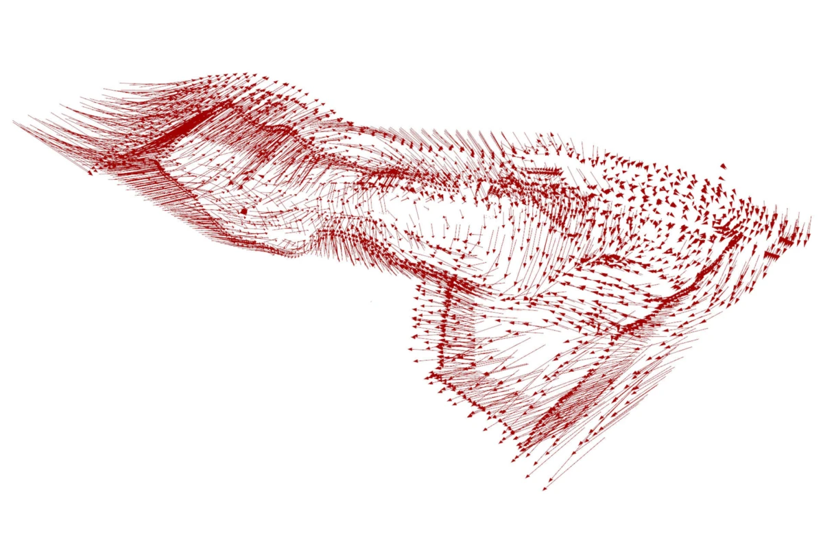 Red vector-field mesh with arrows on a twisting folded surface against white background.
