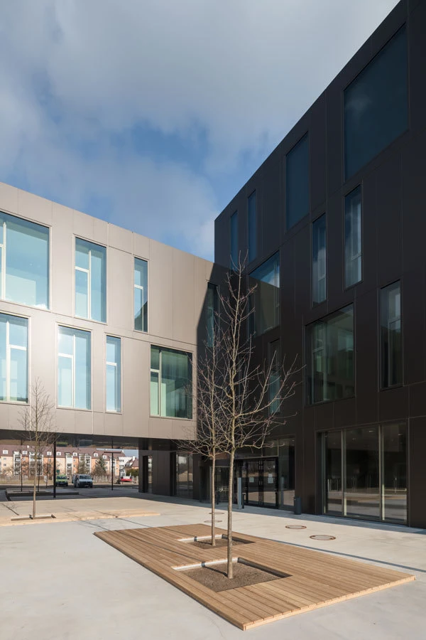 Two-tone modern office building with an open courtyard, a wooden-plank deck, and leafless trees in soil patches.