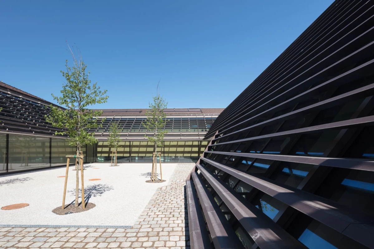 Modern courtyard with young trees in gravel beds and glass-walled buildings under a blue sky.