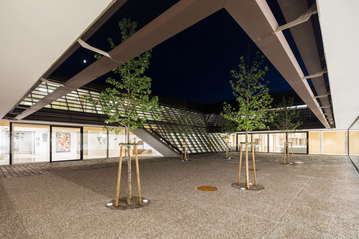 Empty modern courtyard at night with young trees, glass storefronts, and an elevated glass walkway.