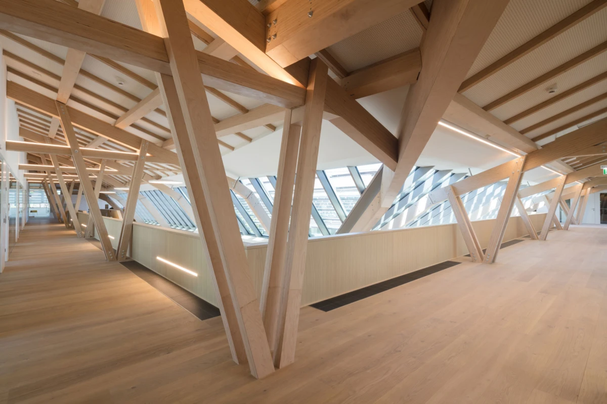 Interior of a modern building corridor with angled wooden beams and skylight windows.
