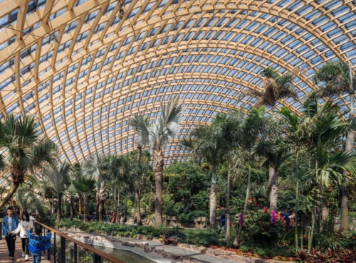 338 dmaa Taiyuan Botanical Garden 02 greenhouse 5668 Creat AR