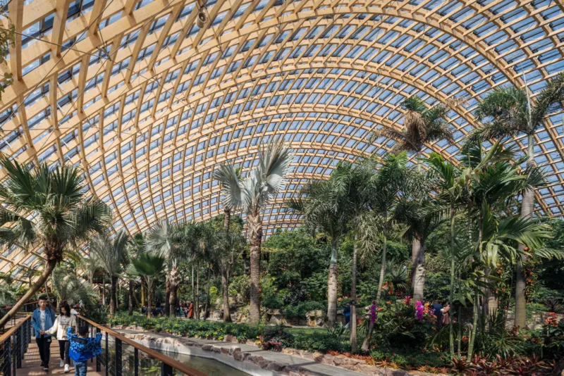 Visitors walk along a wooden-railed path through a tropical palm garden inside a glasshouse with an arched wooden lattice roof.