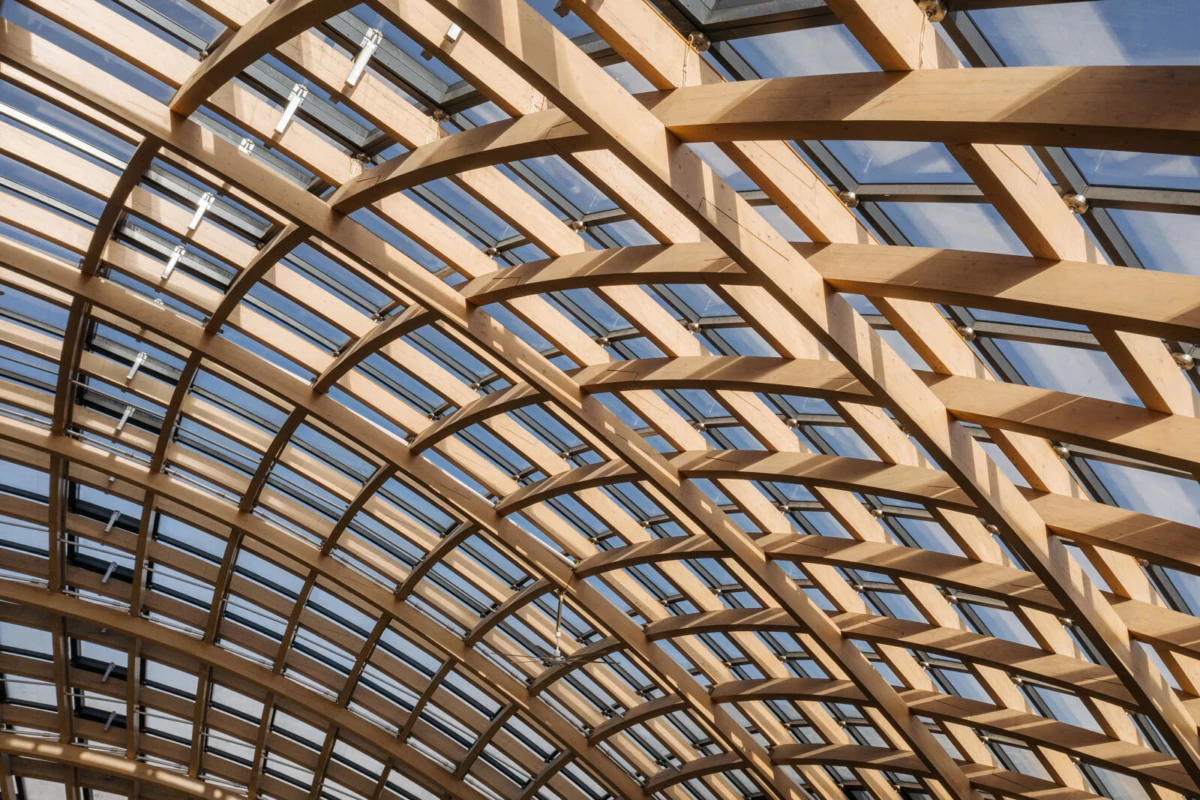 Interior view of curved wooden arches forming a glass vault ceiling.