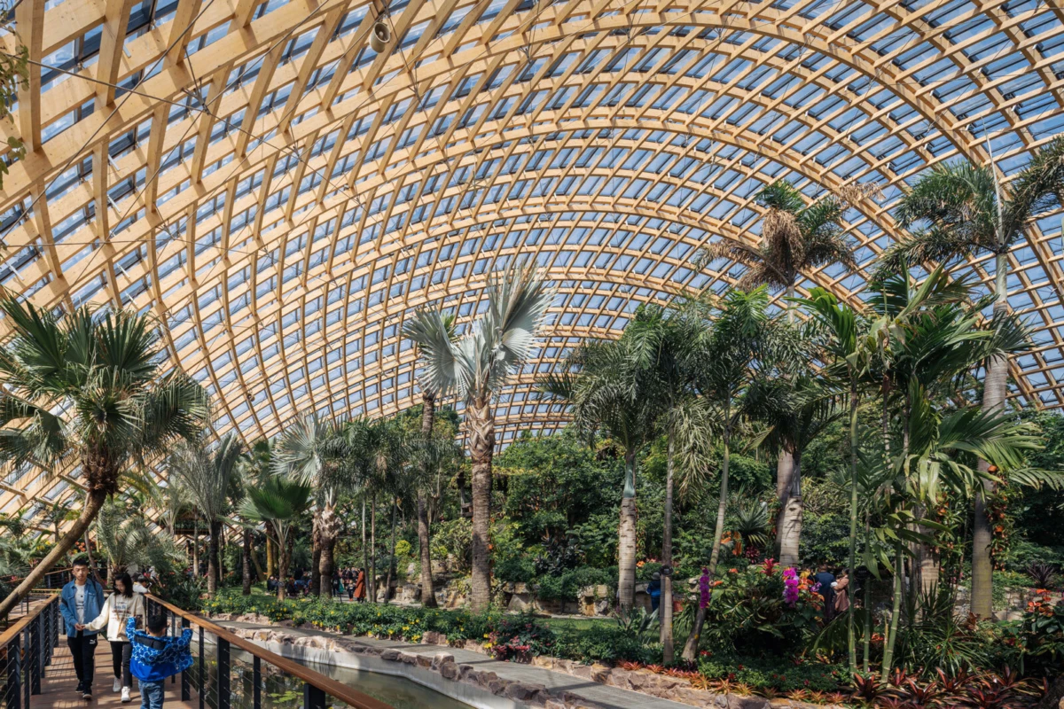 Visitors walk along a wooden-railed path through a tropical palm garden inside a glasshouse with an arched wooden lattice roof.