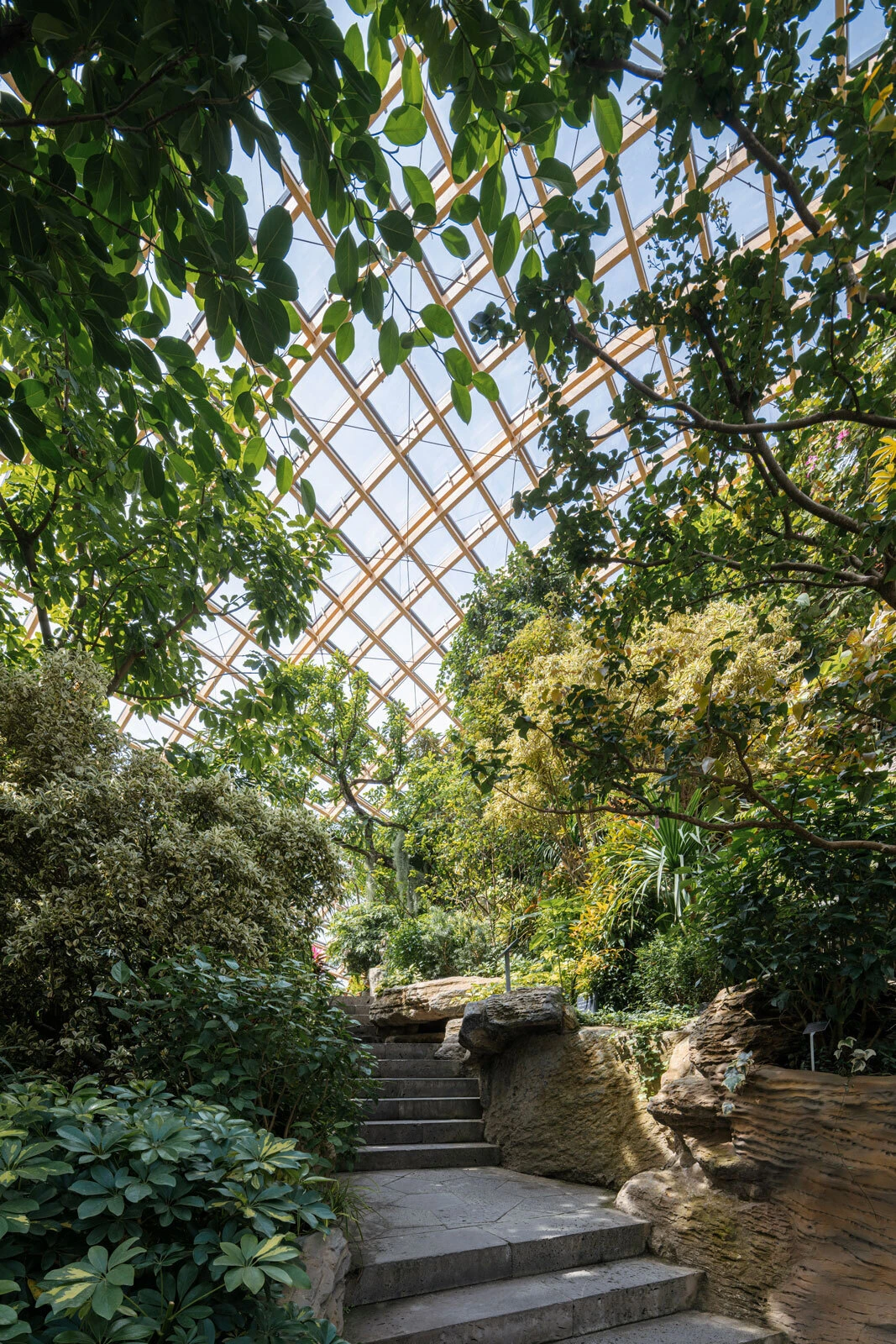 Stone steps rise through a lush tropical garden beneath a glass atrium ceiling.
