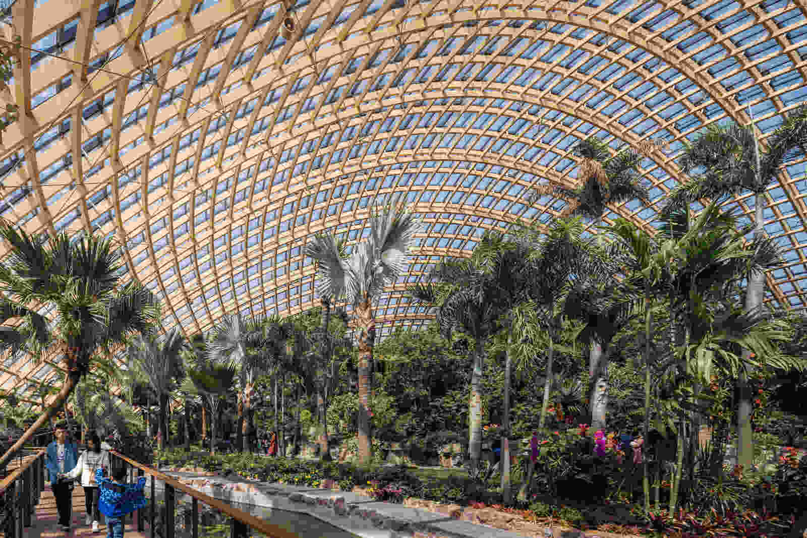 338 dmaa Taiyuan Botanical Garden 02 greenhouse 5668 Creat AR