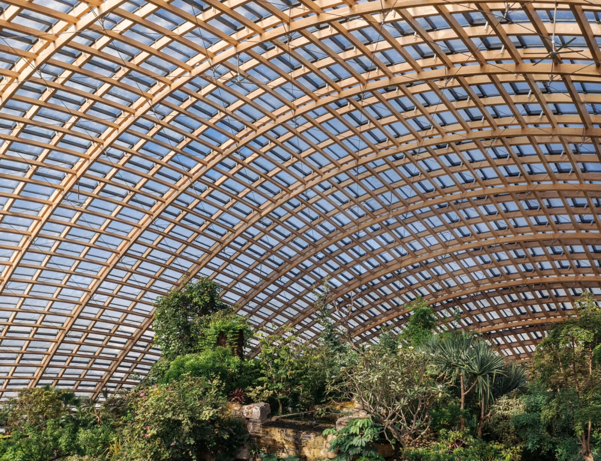 Conservatory interior with an arched wooden lattice roof and lush greenery.