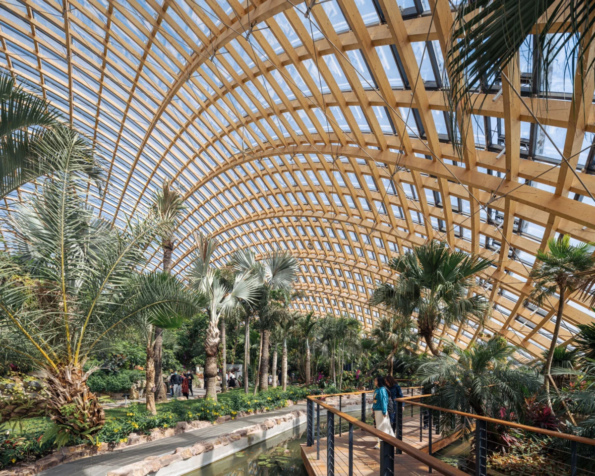 Indoor botanical garden beneath a curved timber-and-glass roof; palm trees line a path with a railing and a water canal, visitors walking nearby.
