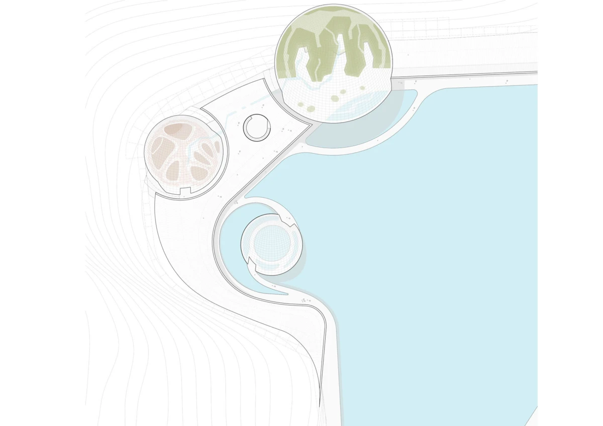 Abstract cross-section of a curved white architectural structure beside a pale blue pool, with circular inset details showing cellular patterns.
