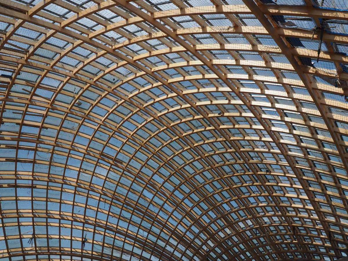 Curved wooden lattice ceiling with glass panels forming a vaulted grid.
