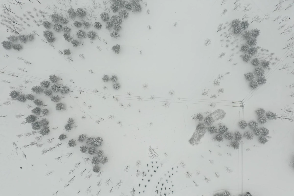 Aerial view of a snow-covered landscape with scattered trees and diagonal power lines crossing a wide field.