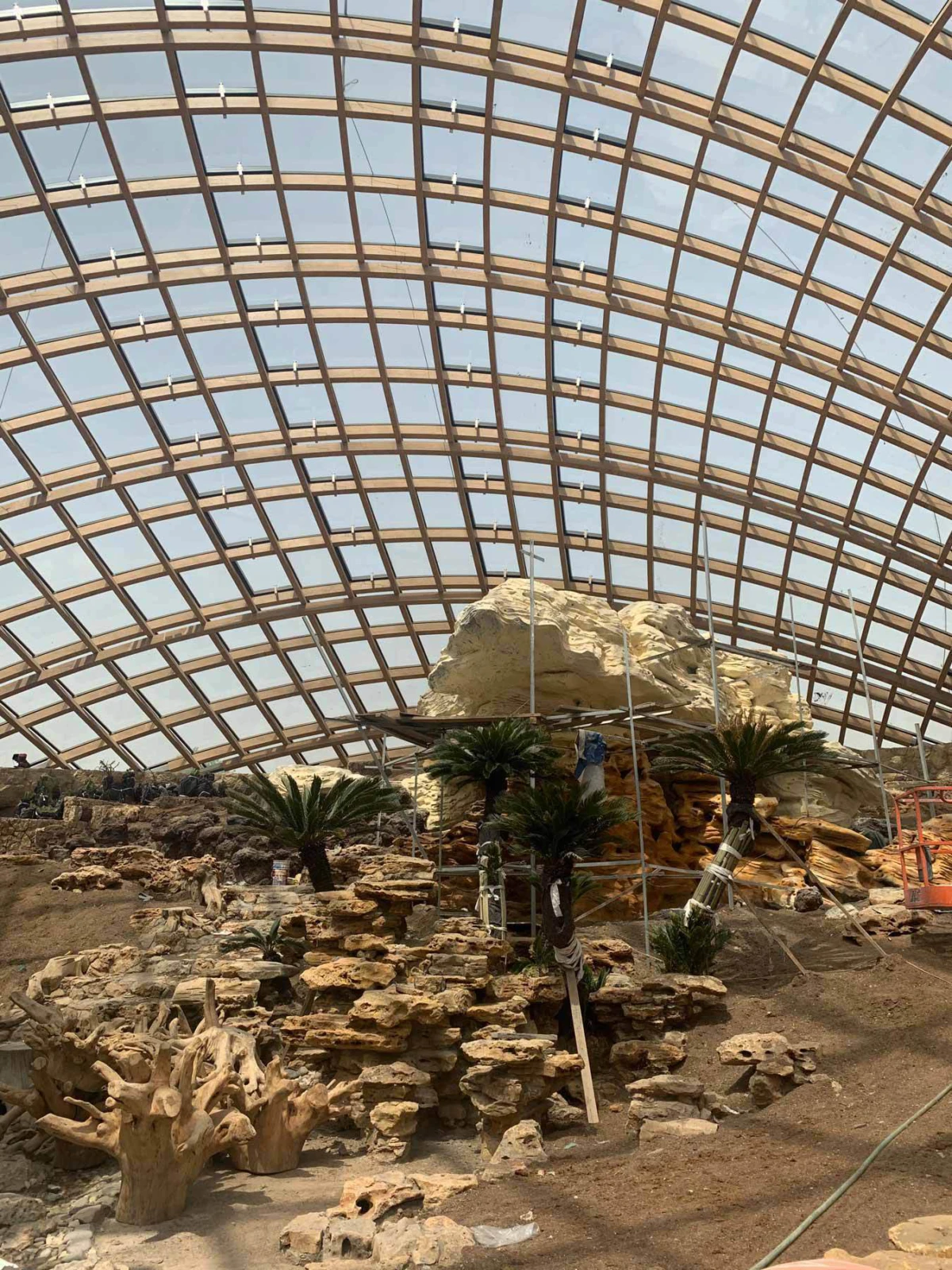 Indoor rock garden with stacked limestone formations and palm trees under a curved glass roof.