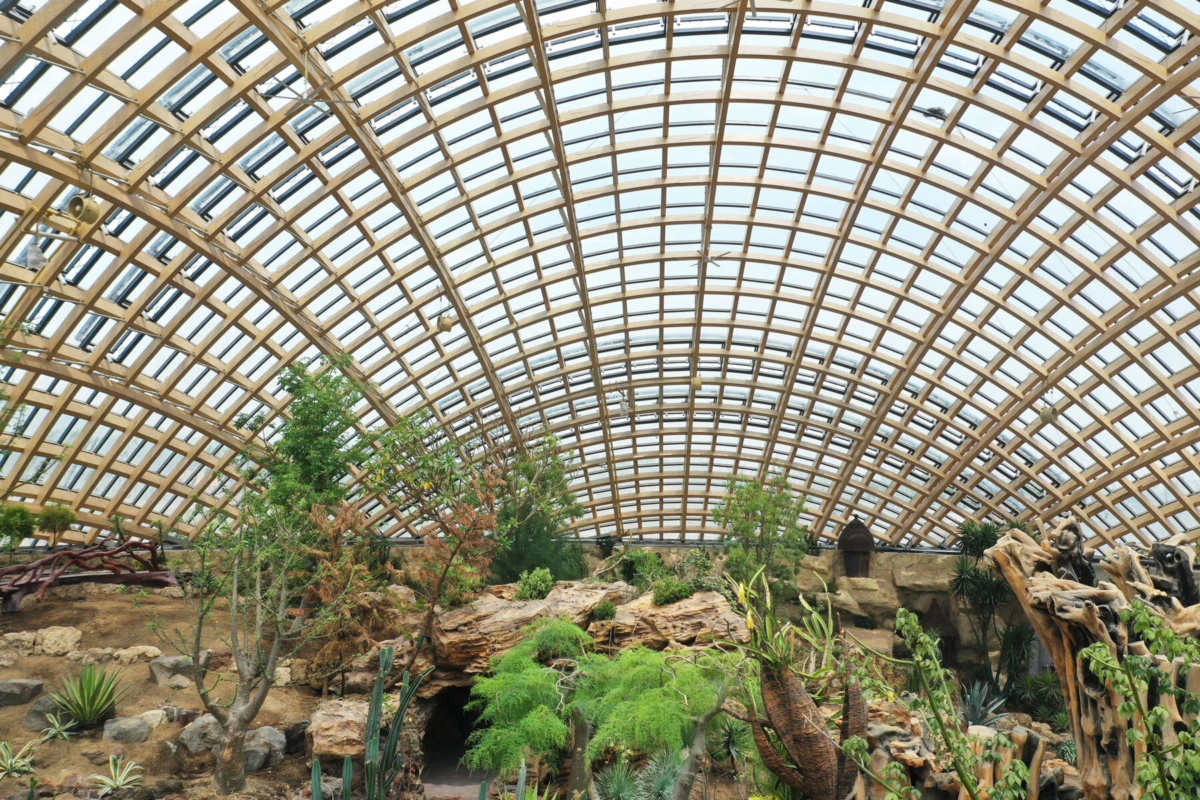 Indoor botanical garden under a wooden lattice arched glass dome, featuring rocks, trees, and desert plants.