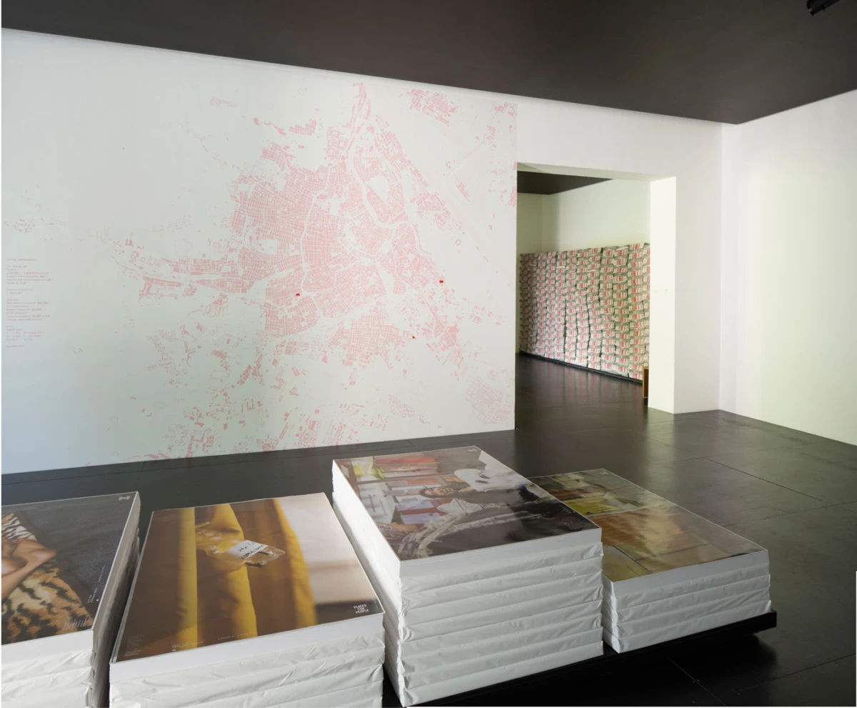 Contemporary gallery installation: stacked photographic prints on white blocks in the foreground; pale pink map mural on the wall.