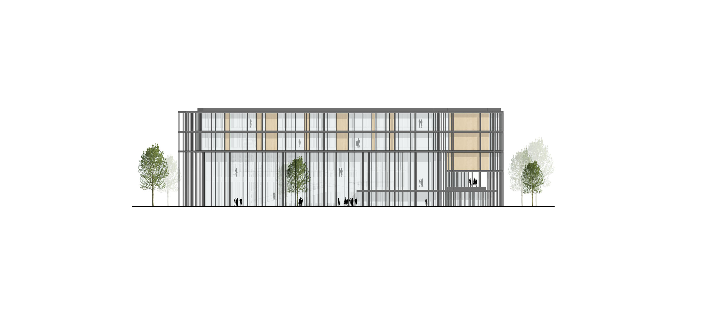 353 dmaa team 7 welt sketch plan 11 elevation south