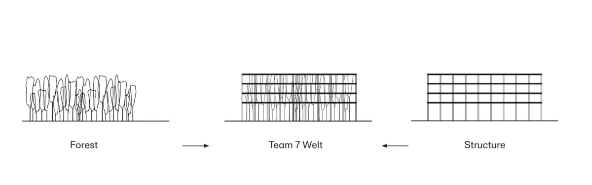Diagram: left forest, center multi-story building labeled 'Team 7 Welt', right 'Structure', arrows from forest and structure toward the center.