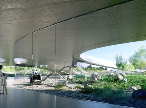 383 Taiyuan Zoo New Areas Panda House dm sketch 001 interior