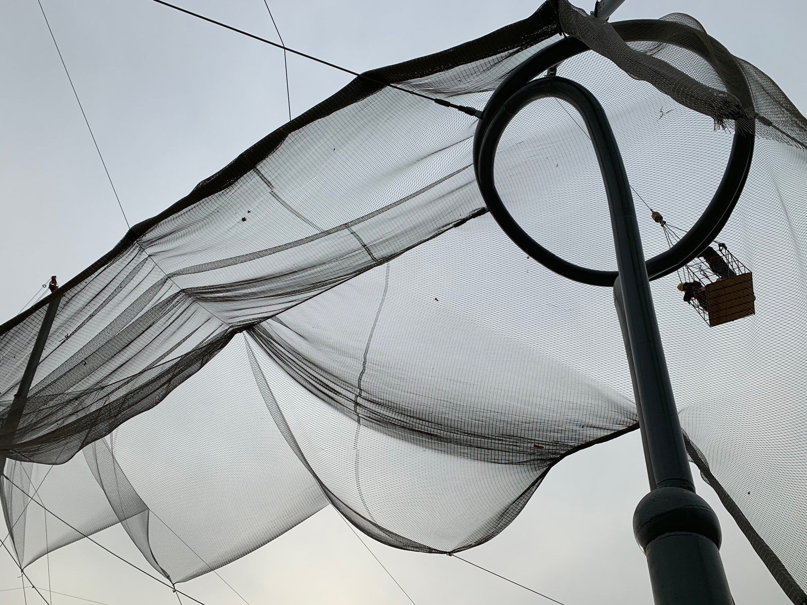 383 Taiyuan Zoo New Areas Voliere 4559