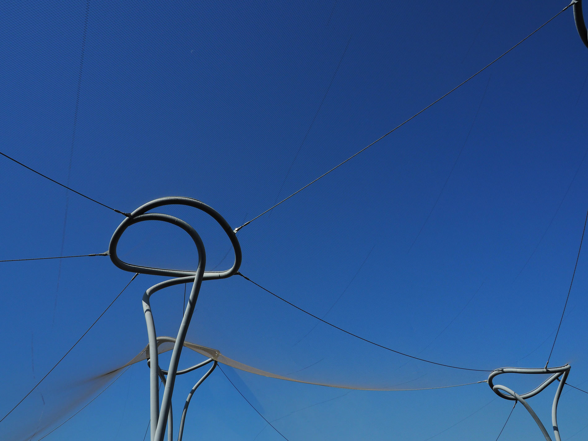 383 Taiyuan Zoo New Areas Voliere P9240116