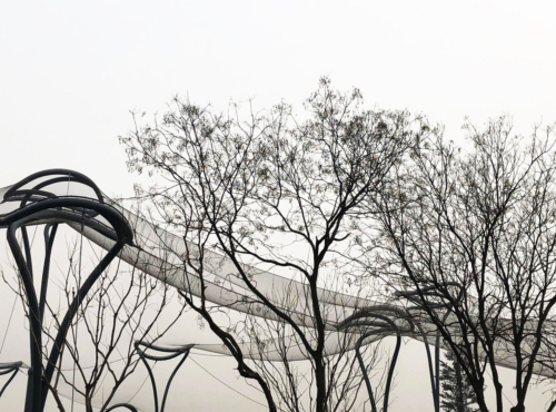 383 Taiyuan Zoo New Areas Voliere 3296 T02