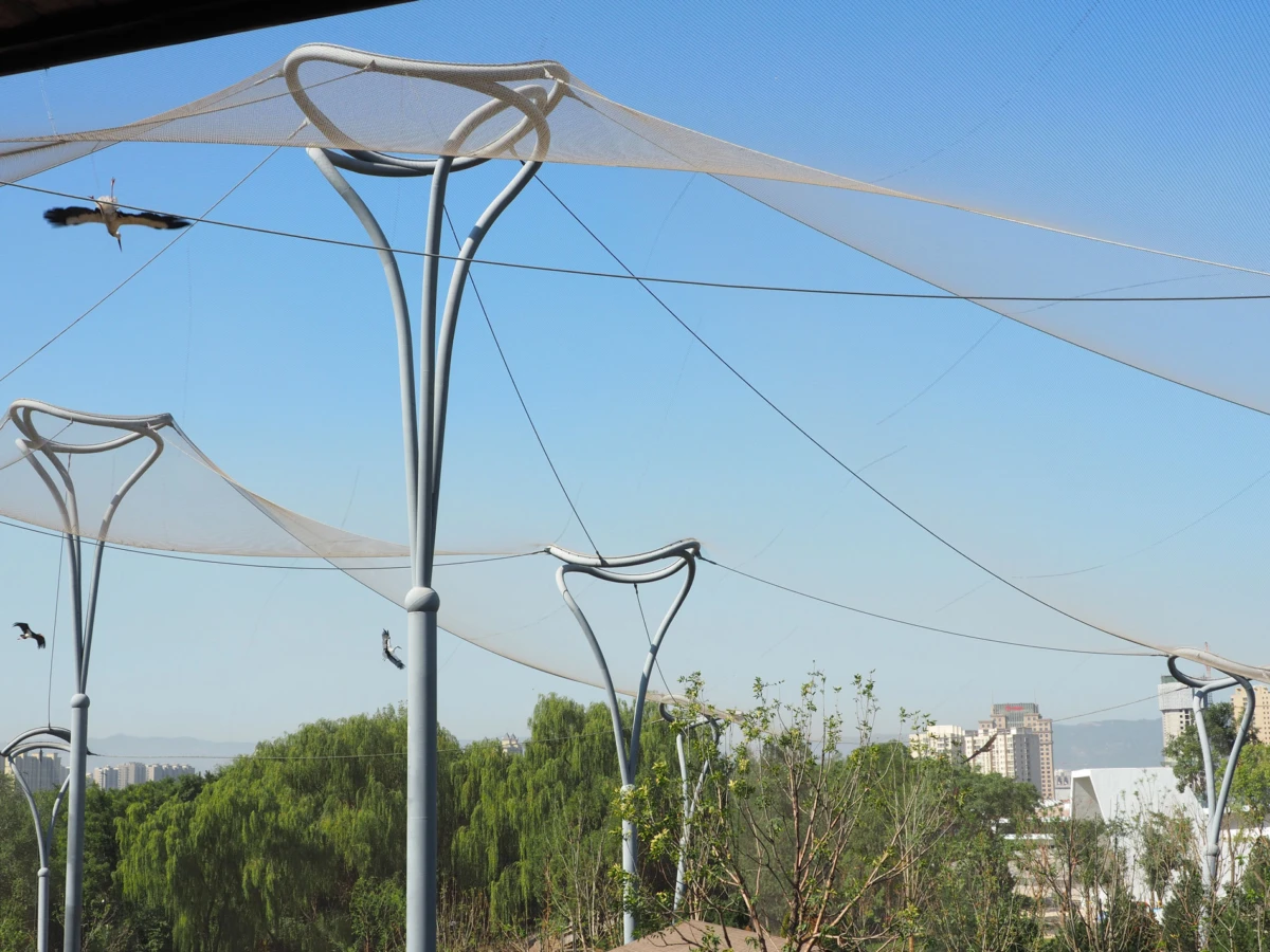 Tall metal poles with curved arms support a fabric net canopy; outdoor park with trees and distant city skyline; birds in flight.